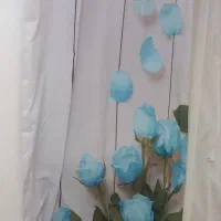کنار پرده چاپی پانچ