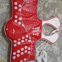 هوگو تکواندو