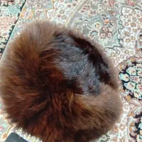 کلاه پوست|لباس|محمدشهر, محمدشهر|دیوار