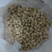 پسته درجه یک|خوردنی و آشامیدنی|تربت جام, کلالی|دیوار