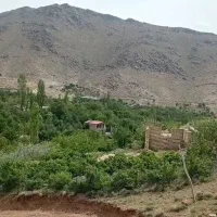 باغ-و-گل-محمدی-روستای-قزاآن-قمصر1500متر