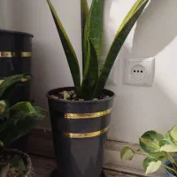 حراج وسایل|حراج|زنجان, |دیوار