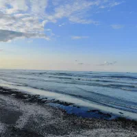 کارت ملی شناسنامه
