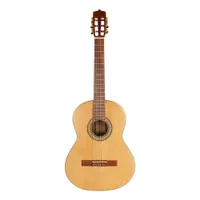 گیتار پارسی مدل p70