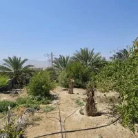 باغ شهری جنت فروش فوری زیر قیمت|فروش خانه و ویلا|لار, |دیوار