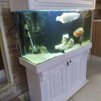 آکواریوم 1 متری با کمد و لوازم و ماهی در حد نو|ماهی|رباطکریم, رباطکریم|دیوار