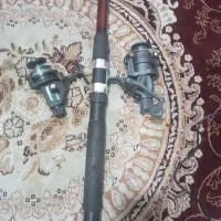 لنسر ماهیگیری