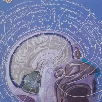 کتاب کنکور تجربی