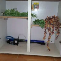 اکواریوم دلسا|ماهی|کرمان, |دیوار