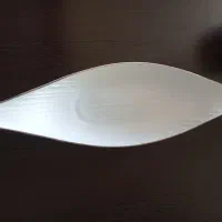 ظرف سرامیکی
