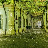 فردا حرکت از گرگان به تهران