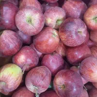 سیب محلی و ارگانیک