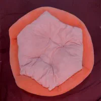 دو عدد تشک خواب سگ و گربه