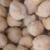 فروش نخود عمده خورده