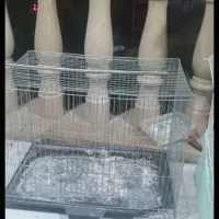 قفس و لانه کیف حمل