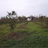 زمین
