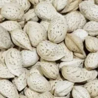 بادام سنگی،کاغذی و آجیلی مُنقا ارگانیک و بادام تلخ|خوردنی و آشامیدنی|شیراز, قدوسی شرقی|دیوار