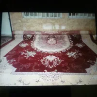 ۲ عدد فرش طرح ۵۰۰ شانه