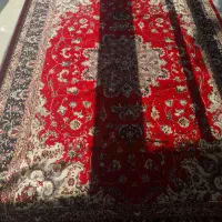 فرش ۱۲ متری|فرش|کرمانشاه, |دیوار