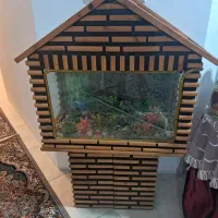 اکواریوم  سالم و تمیز