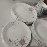 آرکوپال دوازده نفره