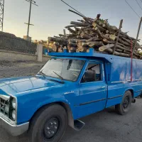 انواع چوب خشک وتر