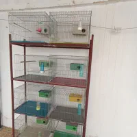 فروش قفس و طبقه|لوازم جانبی حیوانات|بوشهر, |دیوار