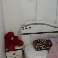 همخونه خانم