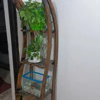 استناد گل سالم تمیز