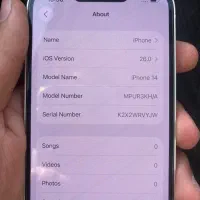 ایفون ۱۴ نرمال|موبایل|تهران, درختی|دیوار