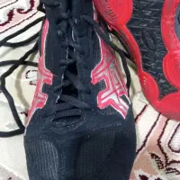 کفش کشتی|کیف، کفش، کمربند|اردبیل, |دیوار