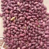 حبوبات و خشک بار انواع لوبیا|عمدهفروشی|بهمن, |دیوار