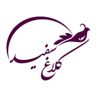 کمک حسابدار خانم