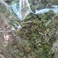 نعناخشک