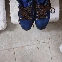 کفش کوه نوردی