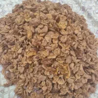 زردآلو خشک|خوردنی و آشامیدنی|نقده, |دیوار