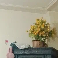 یک عدد گلدان