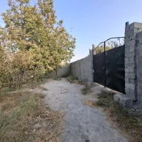 باغچه-چهاردیواری-440-متری-با-آب-ریشه-ای