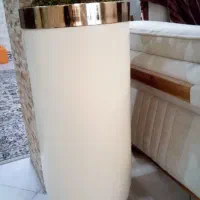 پرنده بهشتی وارداتی