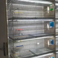 هشت خان غلامی