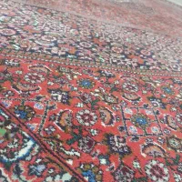 فرش دستبافت افشار|فرش|نسیم‌شهر, |دیوار