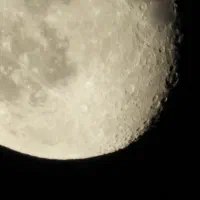 دوربین نیکون b700|دوربین عکاسی و فیلم‌برداری|شیراز, پارک آزادی|دیوار