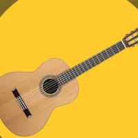 آموزش تخصصی گیتار و آواز پاپ