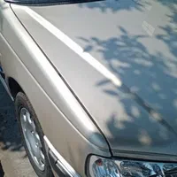 پارس مدل ۸۴ رنگ زنده بژ صدفی