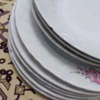 مناسب باغ