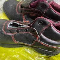 کفش|کیف، کفش، کمربند|سیب و سوران, |دیوار