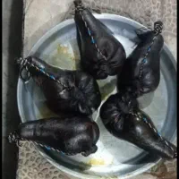 روغن|خوردنی و آشامیدنی|شوشتر, |دیوار