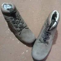 کفش استوک|کیف، کفش، کمربند|شیراز, گل سرخ|دیوار