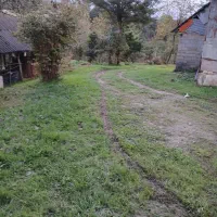 فروش زمین با یک باب خانه با امتیاز کامل|فروش خانه و ویلا|شفت, |دیوار