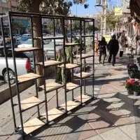 قفسه و رگال با کادر مجرب